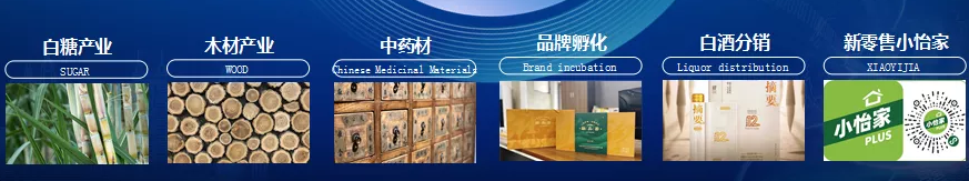 AG贵宾会·(中国游)集团首页